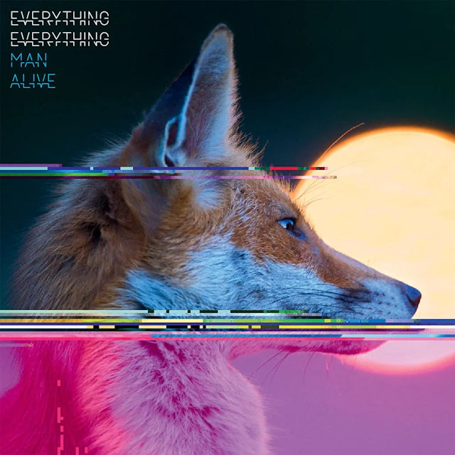 Everything Everything - Man Alive (1LP Gatefold)