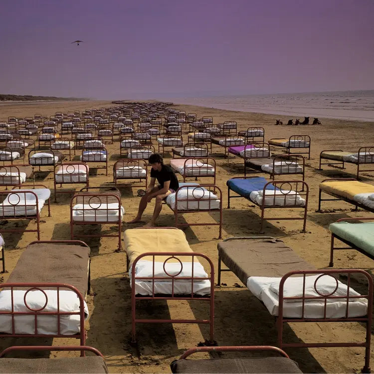 Pink Floyd - A Momentary Lapse Of Reason - Remastered (1LP)