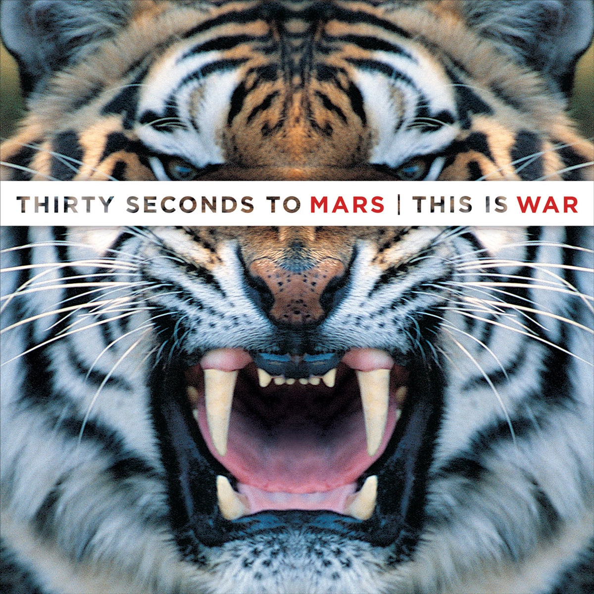 30 Seconds To Mars - This Is War (3LP)