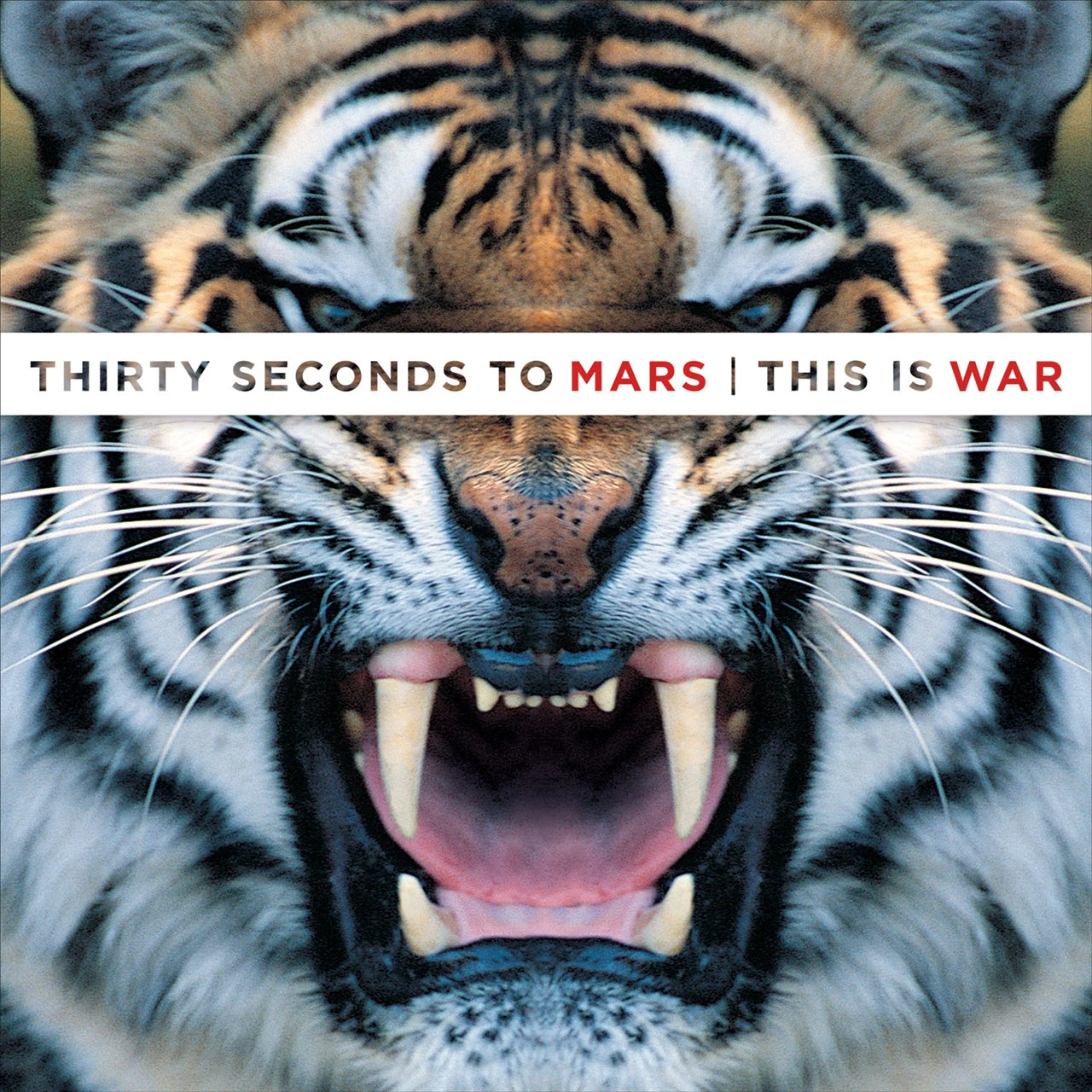 30 Seconds To Mars - This Is War (3LP)