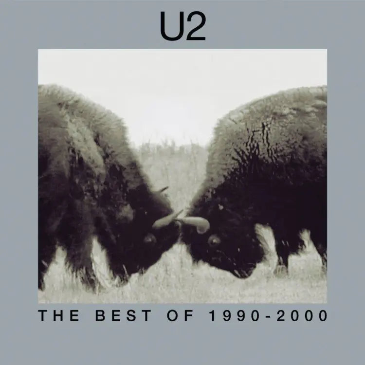 The Best Of 1990-2000 (2LP)