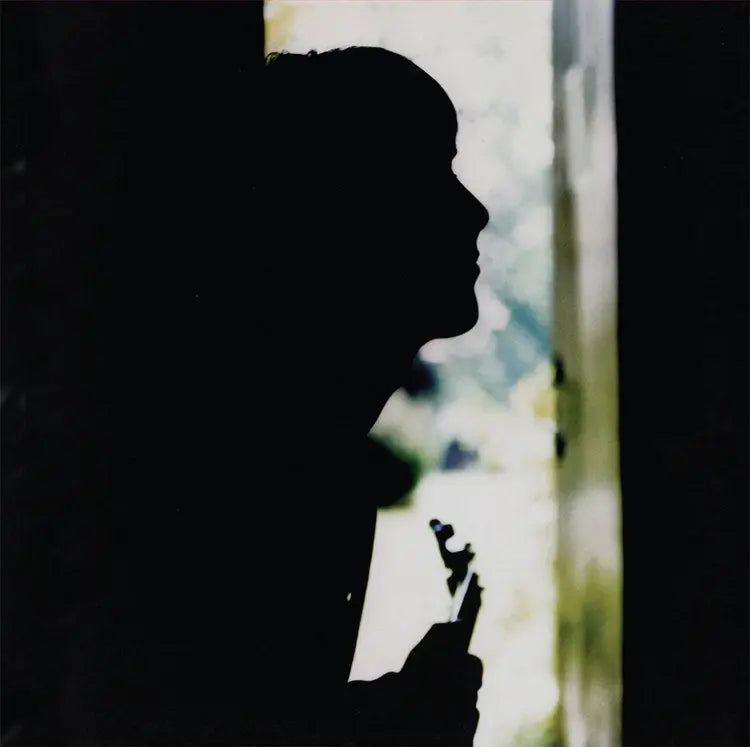 Paul Weller - Wild Wood (1LP)