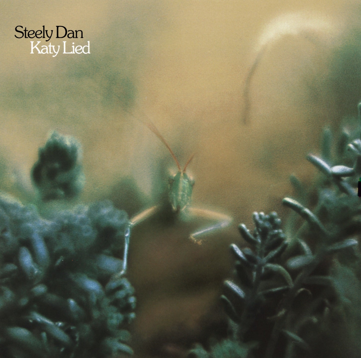 Steely Dan - Katy Lied (1LP)