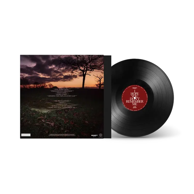 Baby Queen - I Hope You Don’t Remember Me (1LP)