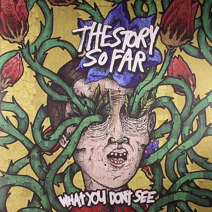 The Story So Far - What You Don't See (1LP Splatter Vinyl)
