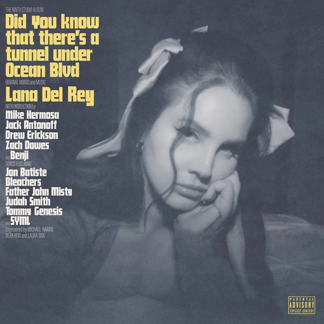 Did You Know That There's A Tunnel Under Ocean Blvd (2LP)