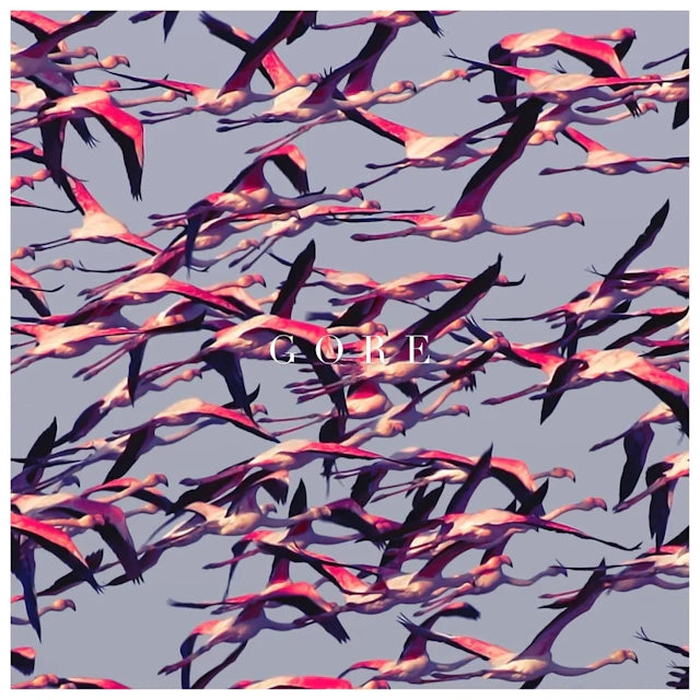 Deftones - Gore (2LP)