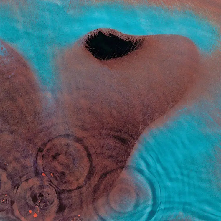 Pink Floyd - Meddle - Remastered (1LP)