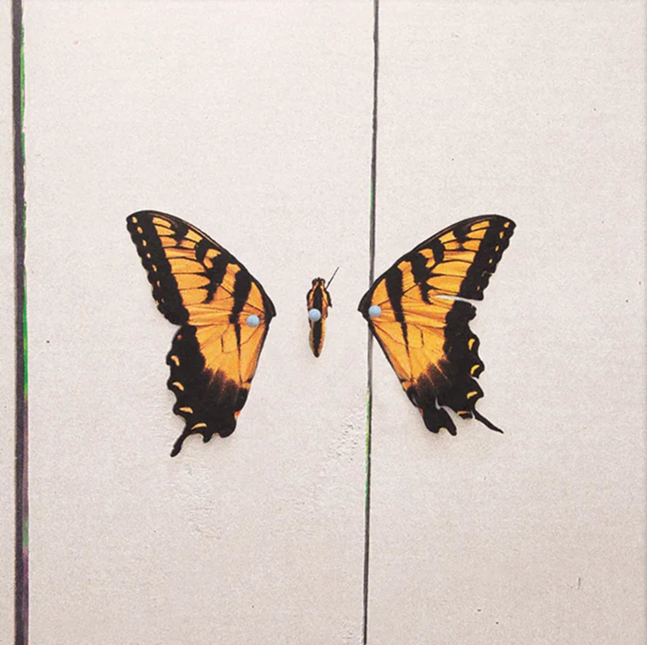 Paramore - Brand New Eyes (1LP)