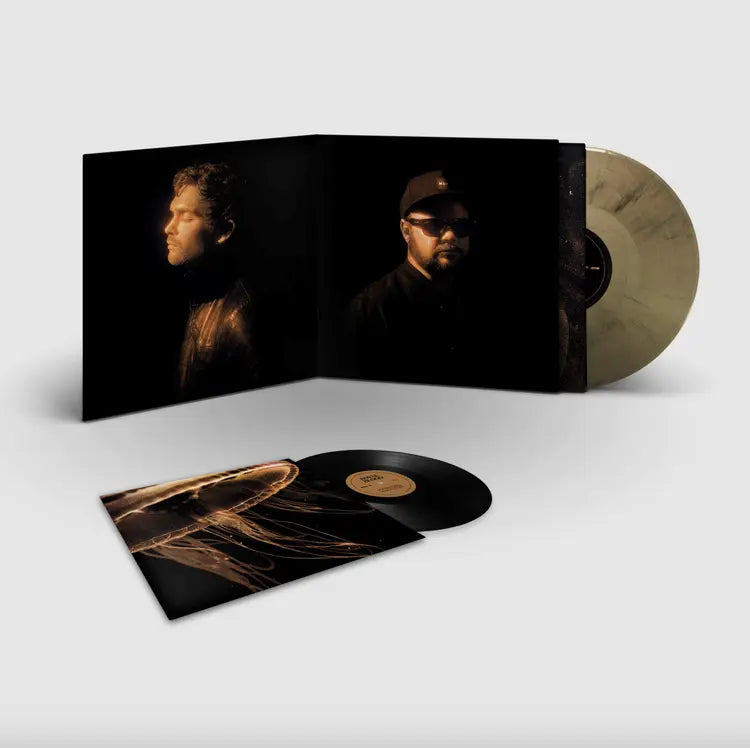 Back To The Water Below - Deluxe Bonus 7" Edition (1LP Gold & Black Marble Vinyl)