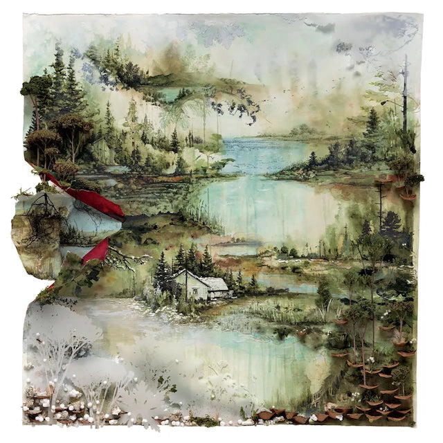 Bon Iver, Bon Iver (1LP)