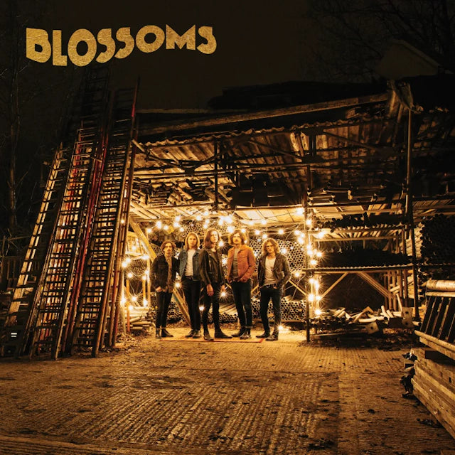 Blossoms (1LP)