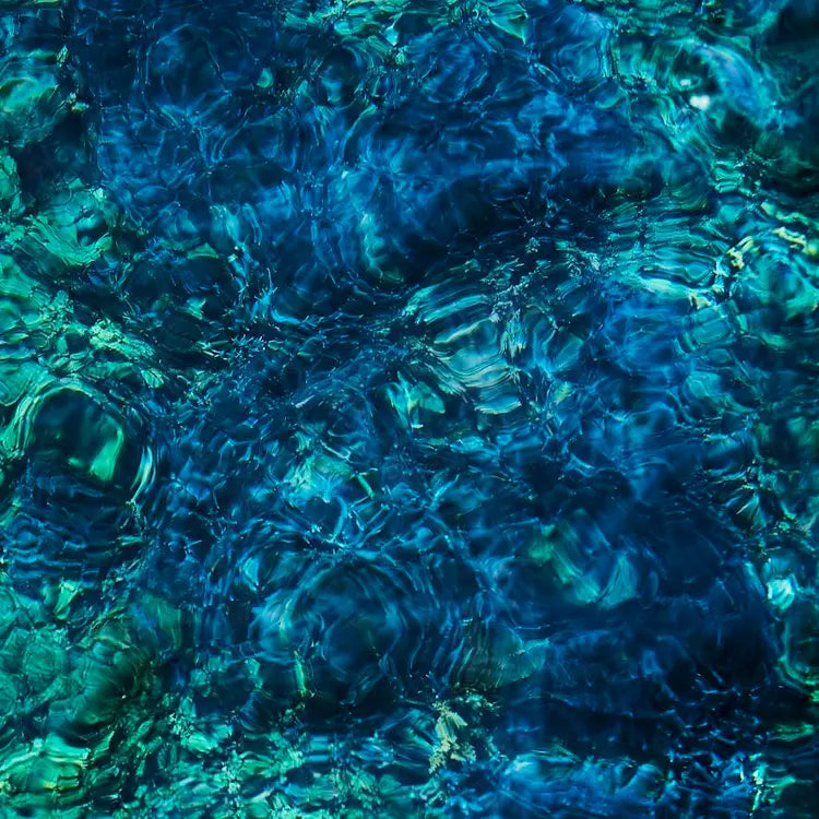 Luminescent Creatures (Deluxe Edition) (1LP Ocean Blue Eco Vinyl)
