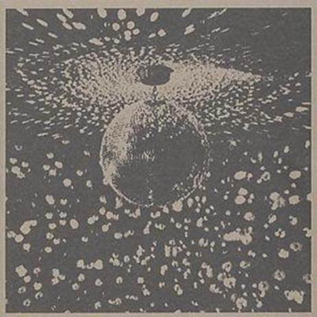 Neil Young - Mirror Ball (2LP)