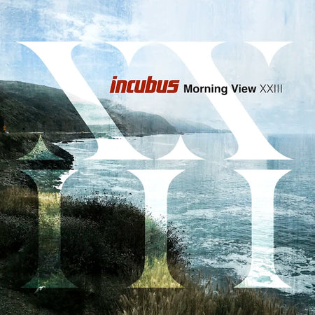 Incubus - Morning View XXIII (2LP Blue Vinyl) - Save Our Souls Records