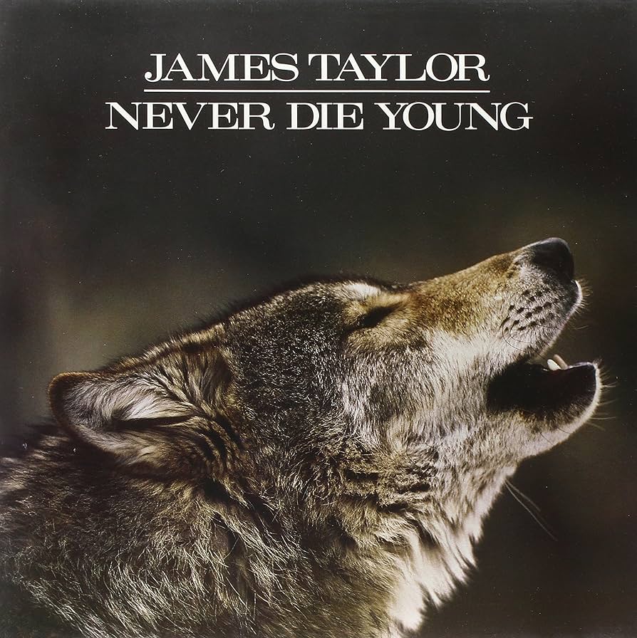 James Taylor - Never Die Young (1LP Limited Edition)