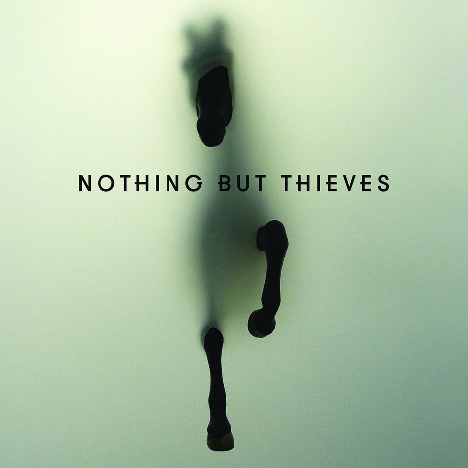 Nothing But Thieves (1LP)